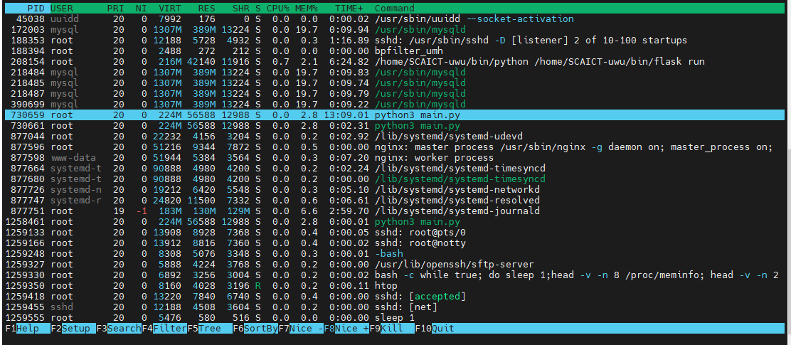 htop-demo